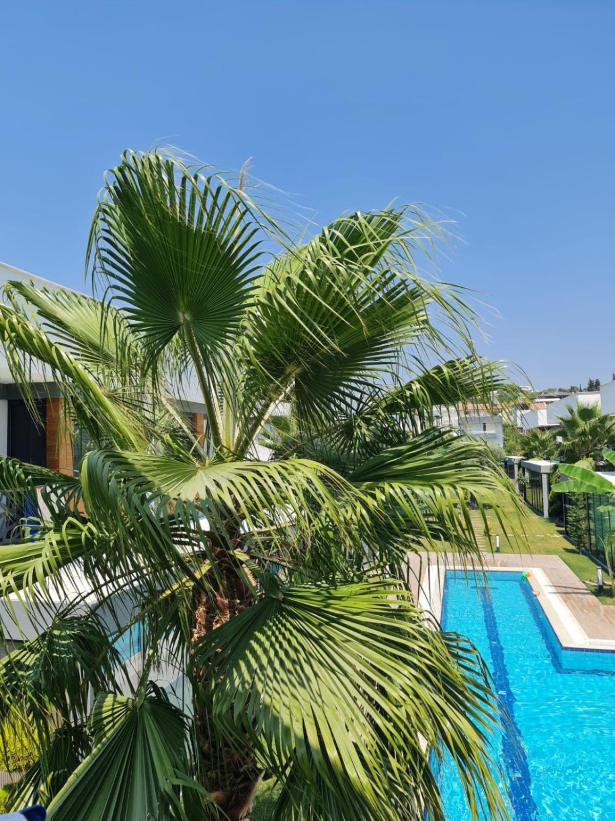 Villa Bozay Evinizdeki Rahatlik Huzurlusakin Tatil *